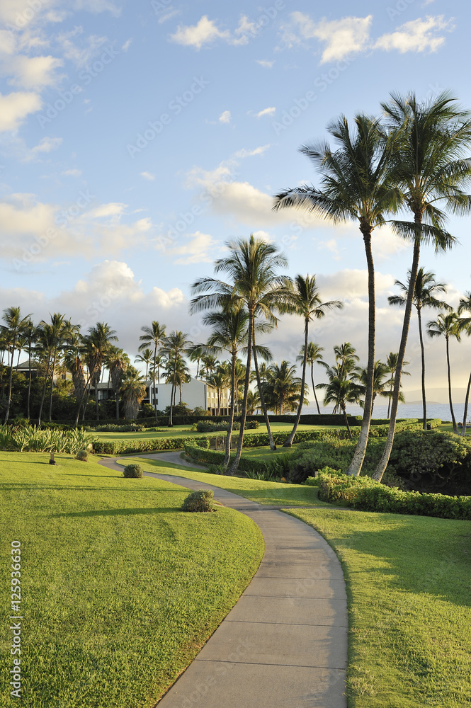 Public sidewalk of Wailea across the palm trees and resorts, Maui, Hawaii