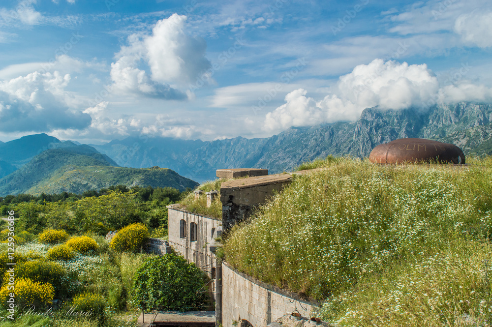 custom made wallpaper toronto digitalFortress Gorazda near the town of Kotor