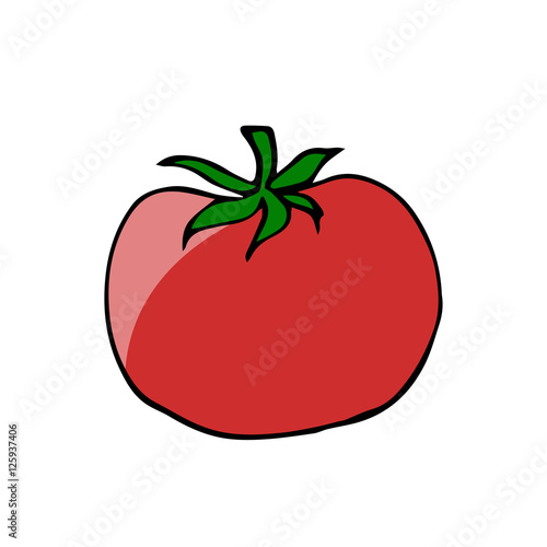 tomato vector scetch