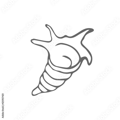 shell scetch. vector