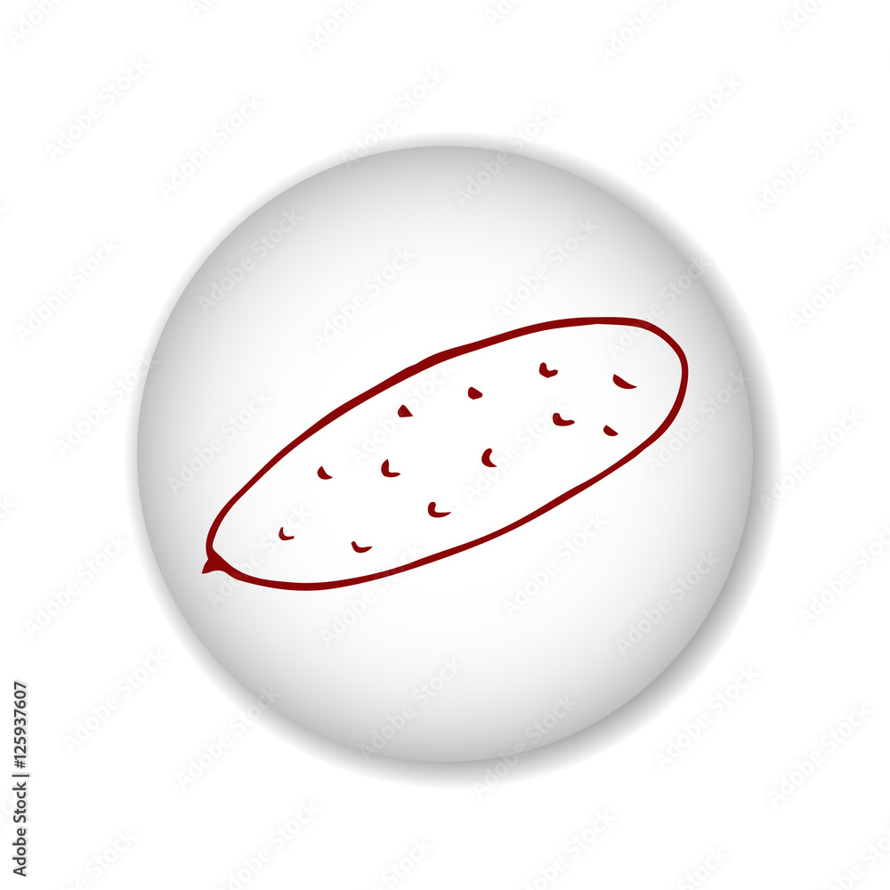 cucumber scetch. vector cucumber scetch. vector