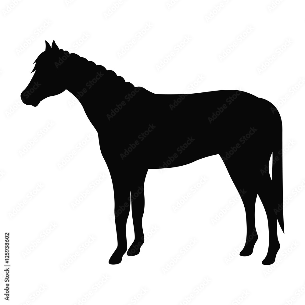 Obraz premium Horse icon. Livestock animal life nature and fauna theme. Vector illustration