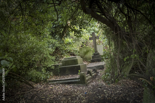 Old Graves, Abney Cemetery, London © Betty Sederquist