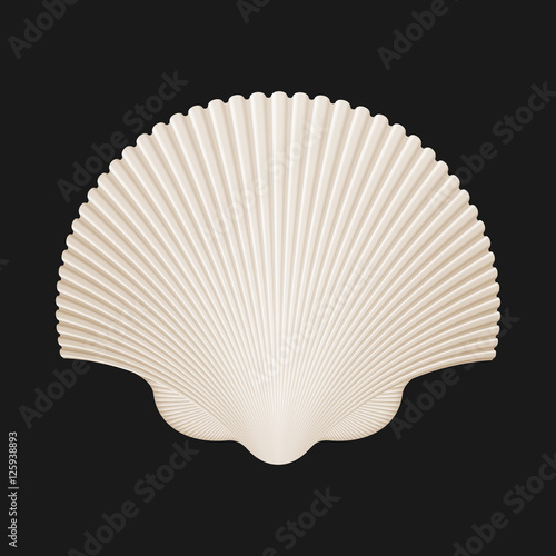 Brown Scallop Shell. Isolated On Black. Vector Illustration