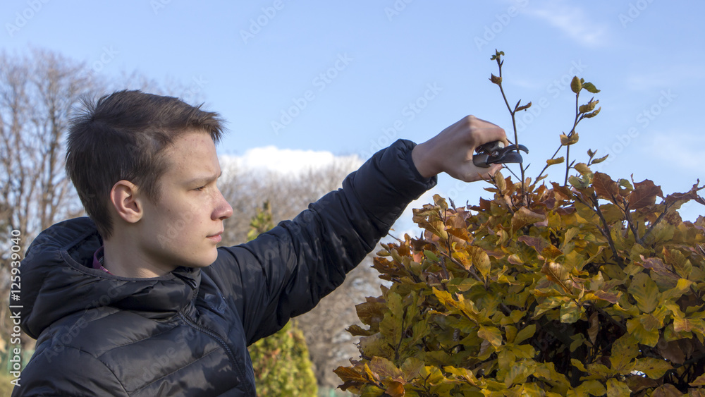 young male gardener working in garden young male gardener working in garden