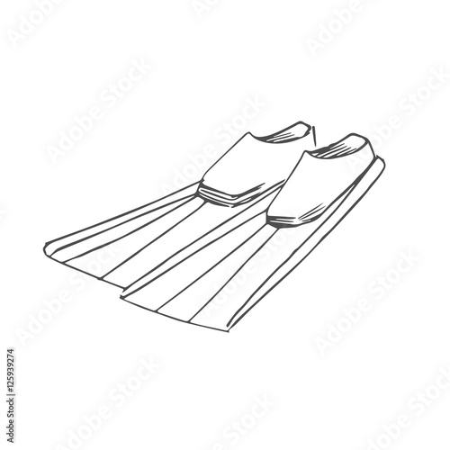 flippers scetch. vector