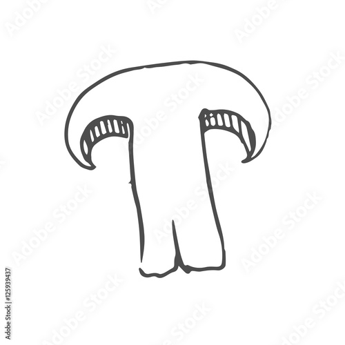 half of champignon scetch. vector
