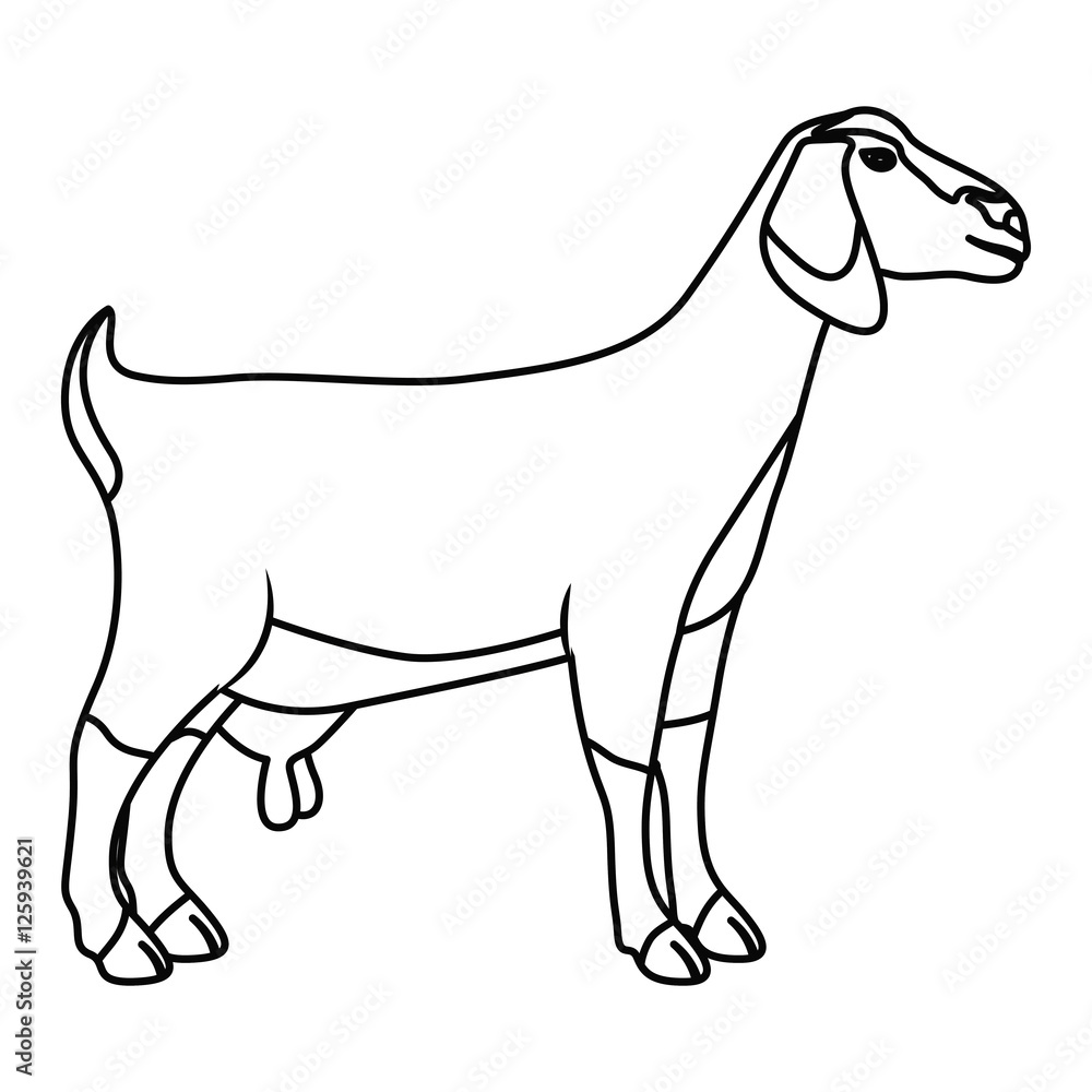 Goat icon. Livestock animal life nature and fauna theme. Vector illustration Goat icon. Livestock animal life nature and fauna theme. Vector illustration