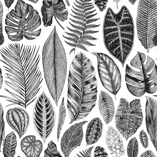 Vector seamless vintage floral pattern. Exotic leaves. Botanical classic illustration. Black and white