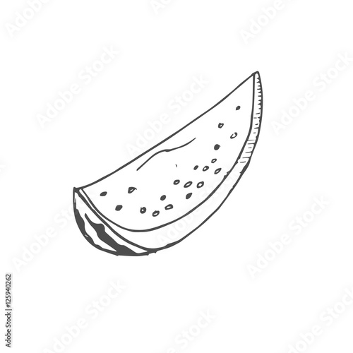 share watermelon scetch. vector