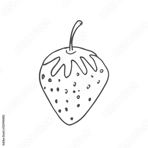 strawberry scetch. vector