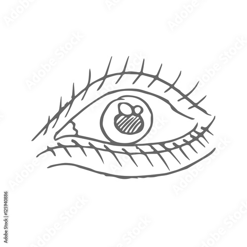 human eye vector scetch