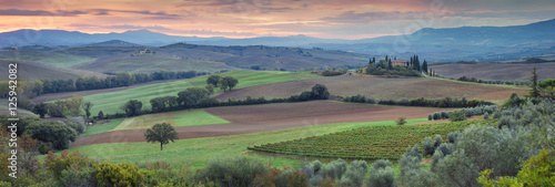 Fototapeta Naklejka Na Ścianę i Meble -  classical sunset in Tuscany valley