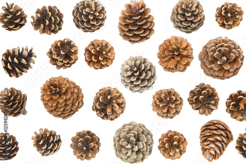 Pine cones