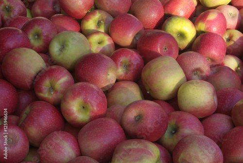 Apples at Apple Hill, El Dorado County, California photo