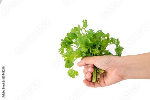 Hand holding vegetables isolated On a white background