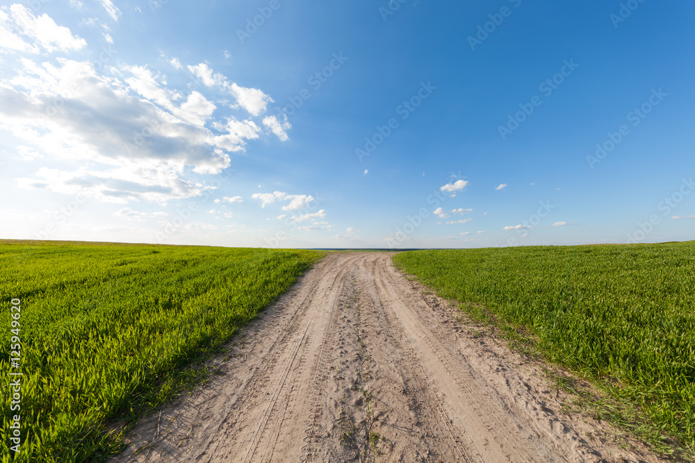 149541 Green Field and Beautiful Sunset 149541 Green Field and Beautiful Sunset