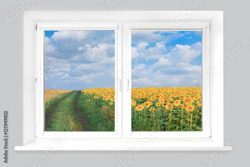 view from window on field with sunflowers