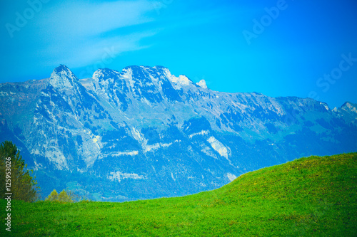 Summer landscape in mountains. mountain panorama