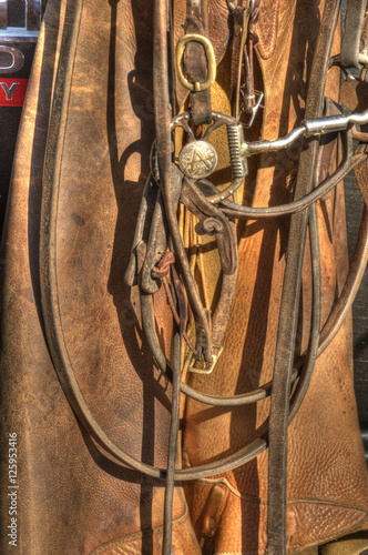Slika na platnu Closeup of Horse Tack