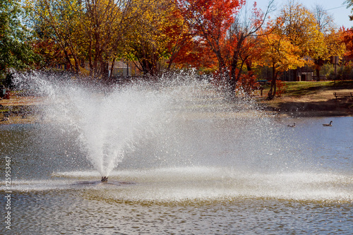 Summer Garden park with lake ducks. Fountain splashes. © ungvar