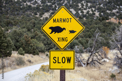 Marmot Crossing Roadsign on Mountain Road