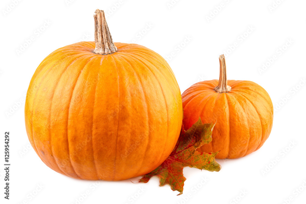 Squash with fall leaves on white. Orange pumpkins isolated on white background