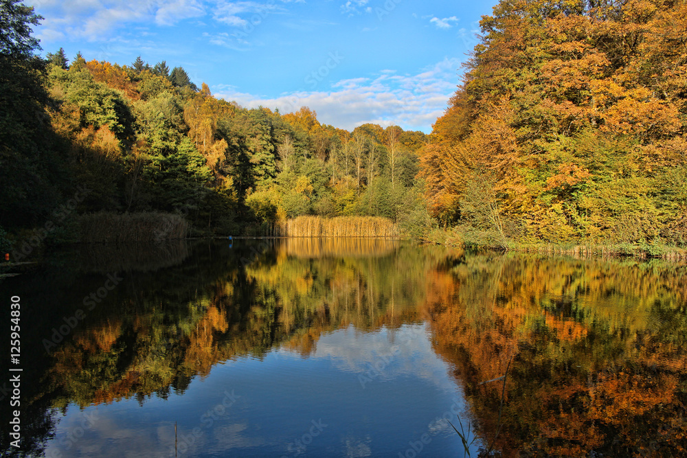 Waldsee mit Spiegelung Waldsee mit Spiegelung