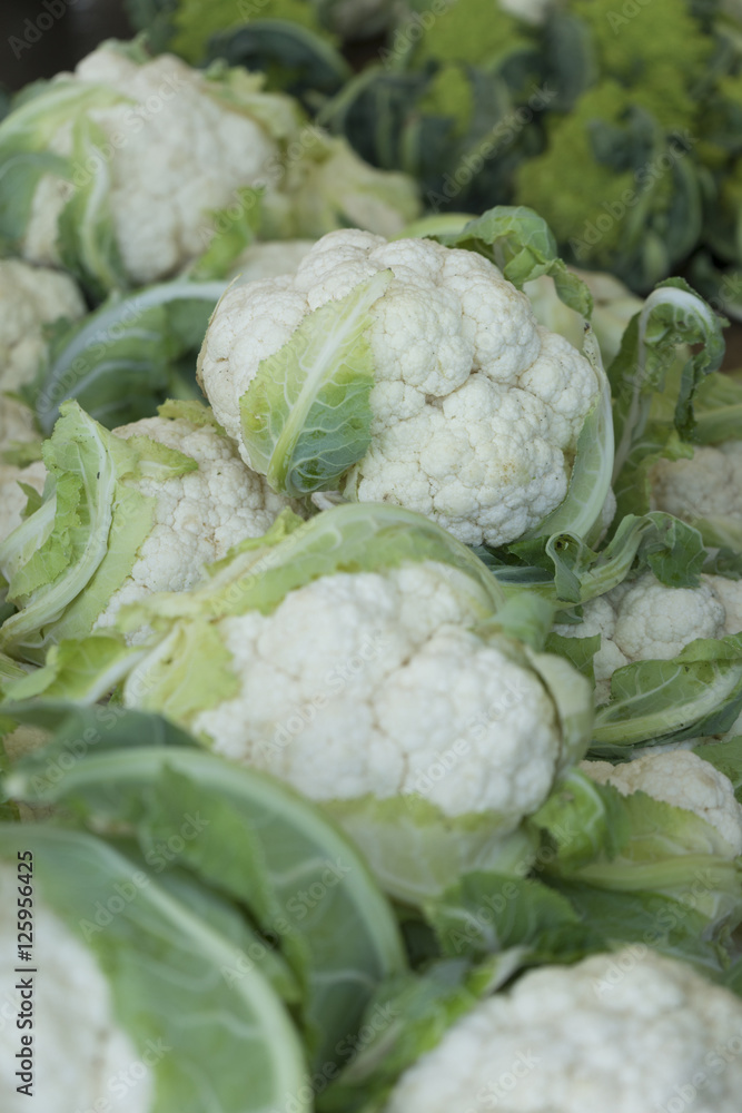 Organic Fruits and Vegetables in Farmers Market : Wilson Park, T Organic Fruits and Vegetables in Farmers Market : Wilson Park, T