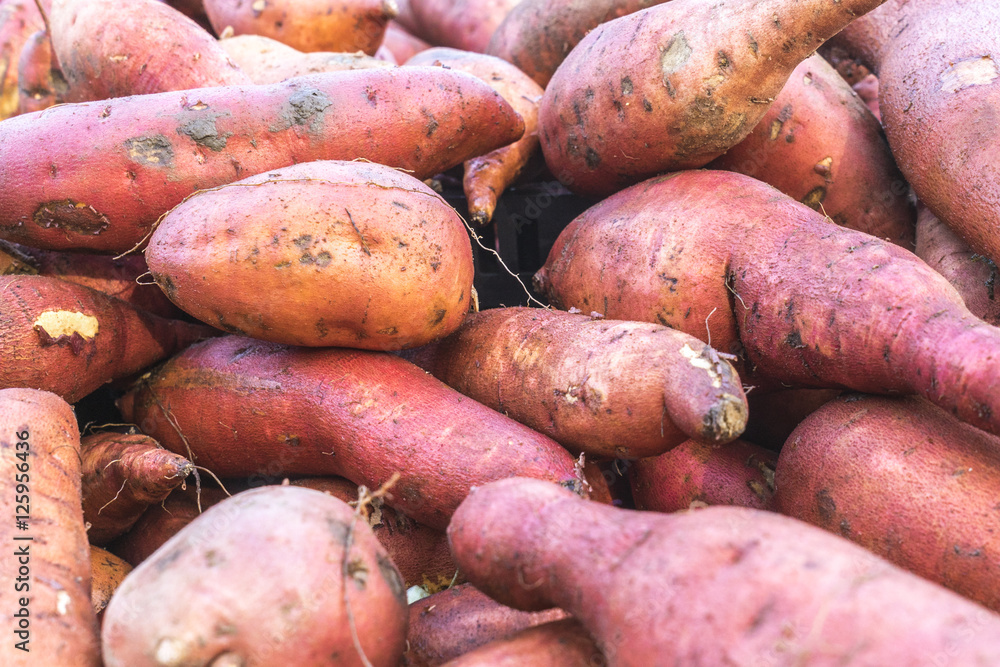 Organic Fruits and Vegetables in Farmers Market : Wilson Park, T Organic Fruits and Vegetables in Farmers Market : Wilson Park, T