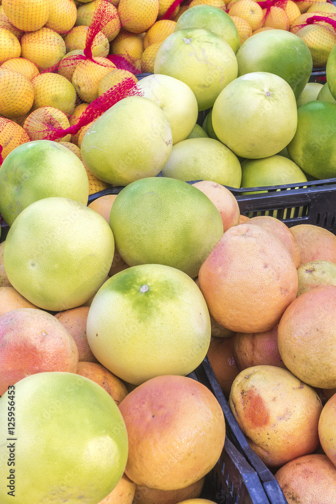 Organic Fruits and Vegetables in Farmers Market : Wilson Park, T Organic Fruits and Vegetables in Farmers Market : Wilson Park, T