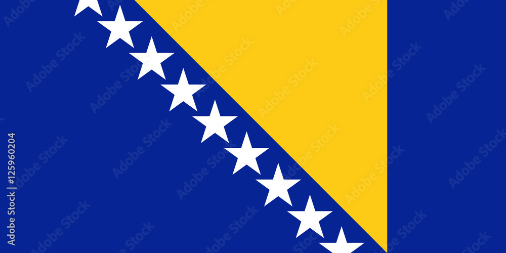Fototapeta premium Official vector flag of Bosnia and Herzegovina .