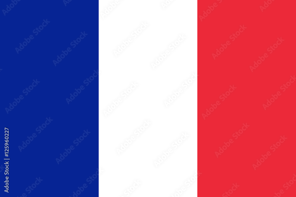 Official vector flag of France . French Republic .