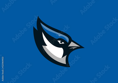 blue jay bird sport mascot