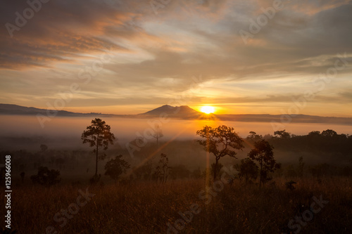 Misty morning sunrise at Thung Salang Luang National Park Phetch