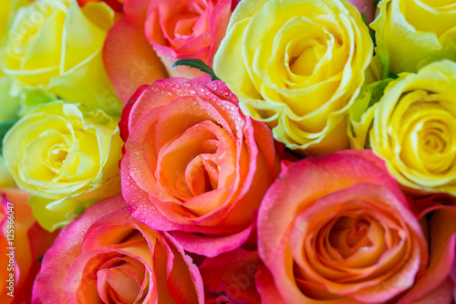Bouquet of multicolored roses for wedding ceremony