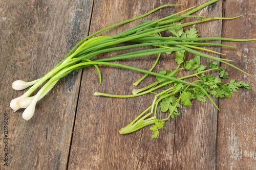 green onion and coriander organic on wooden background