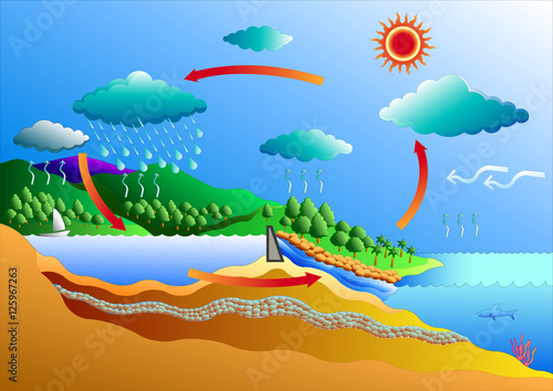 water cycle vector