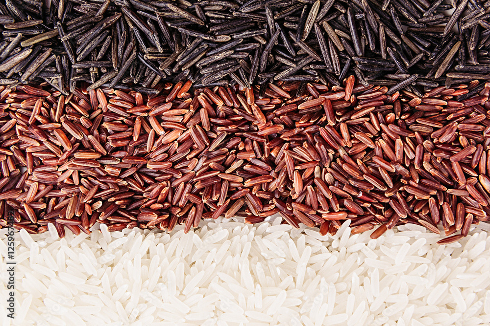 Fototapeta premium Strips of red, black and white rice close-up. Rice texture background. Macro.