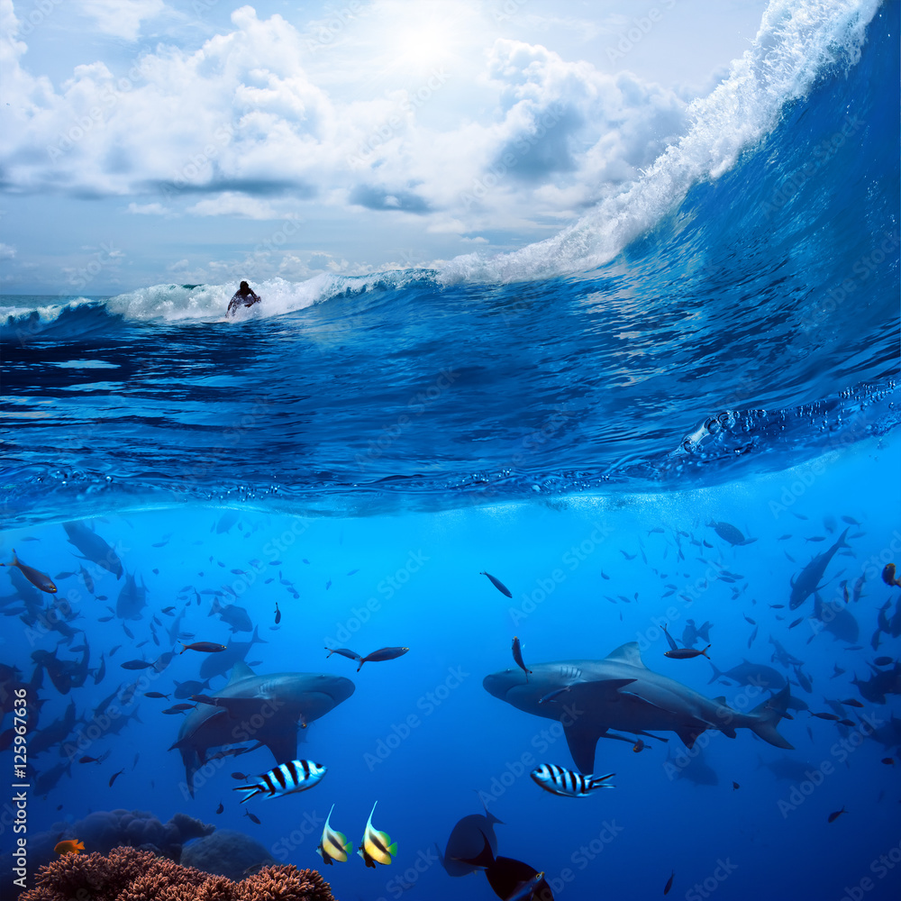Obraz premium surfer on wave and two wild sharks underwater