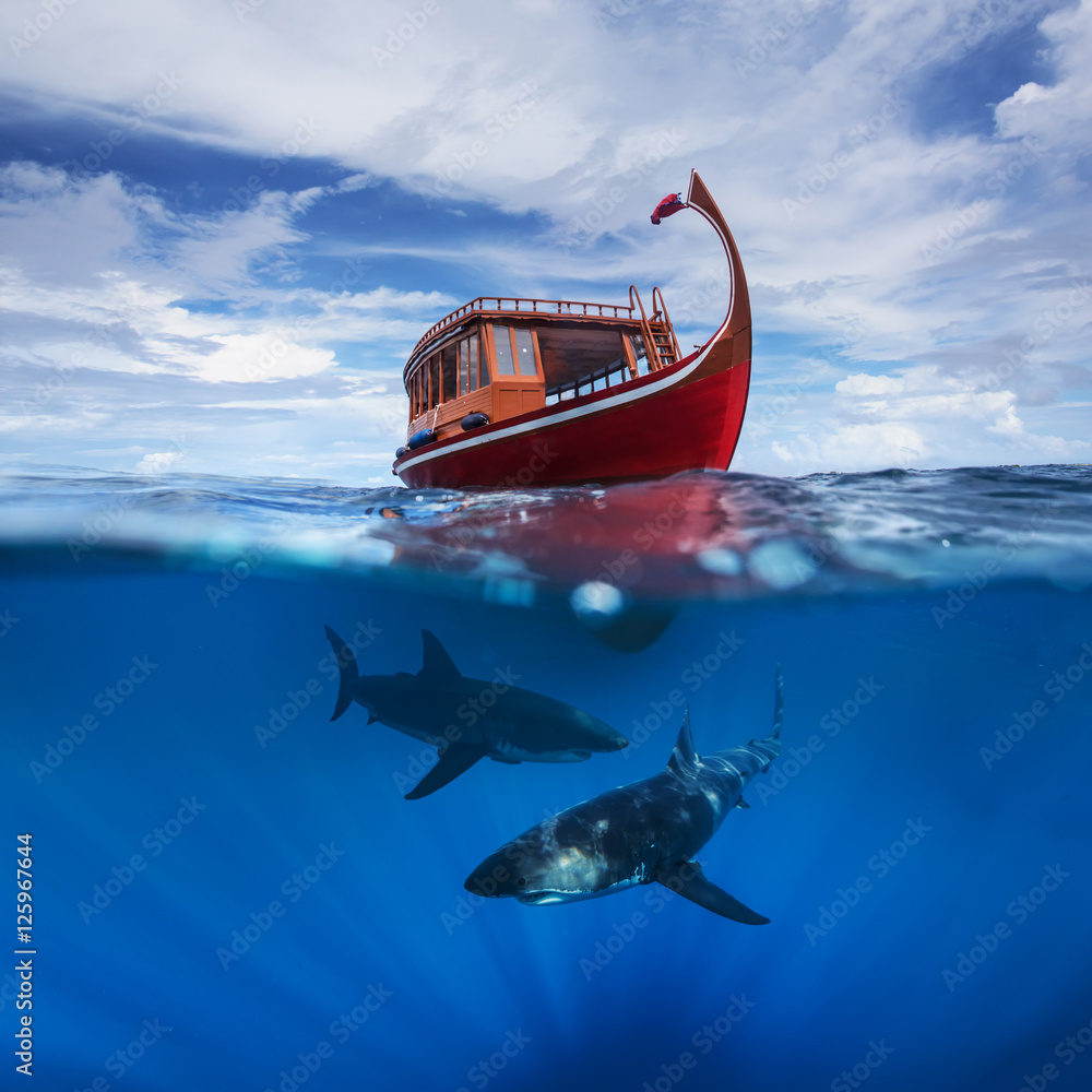 Obraz premium Two great white sharks under red boat underwater photo