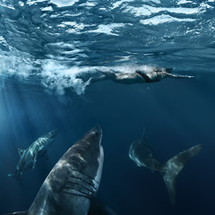 Great White Shark in blue ocean. Underwater photography. Predator hunting near water surface.