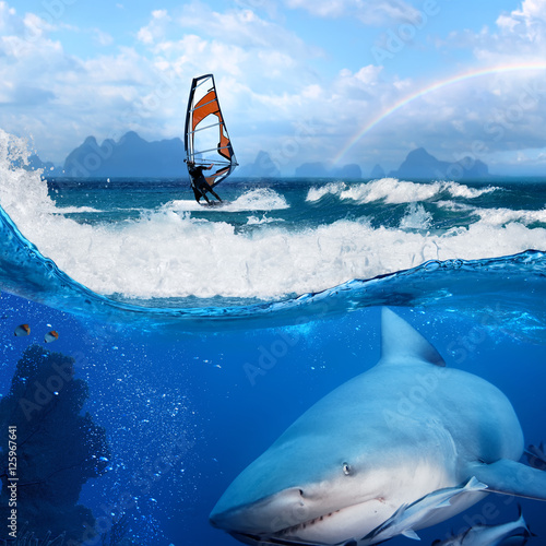 windsurfer in ocean rainbow on sky and wild shark underwater
