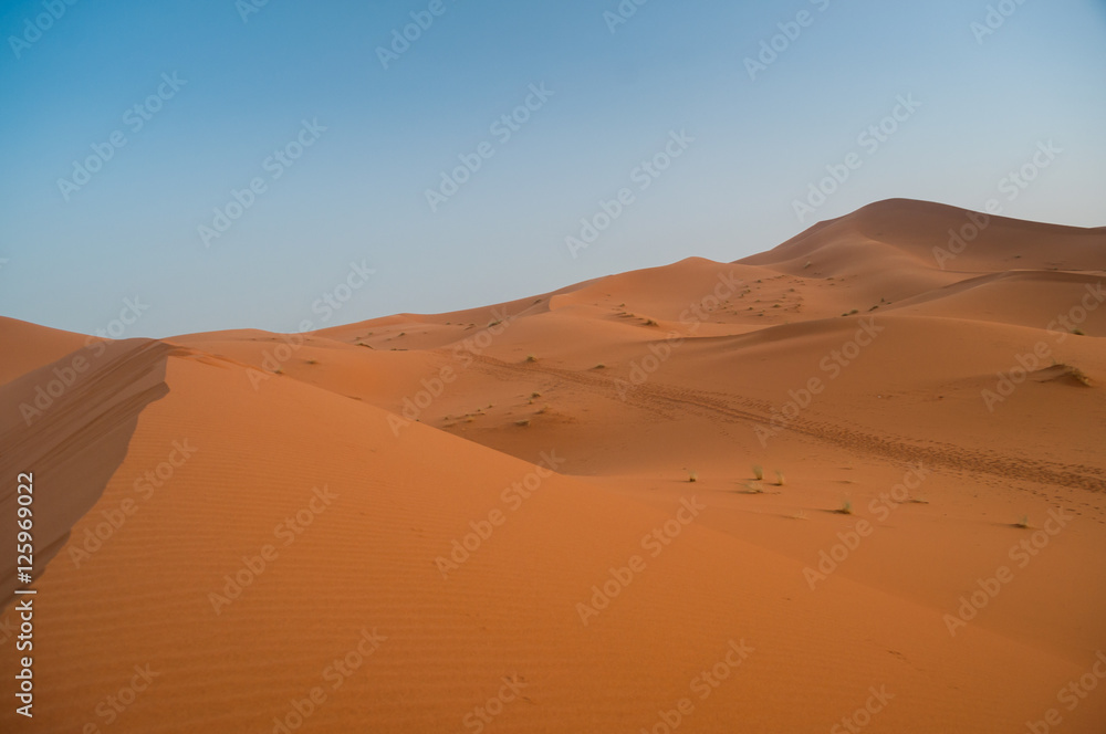 View over the sand dunes of the Sahara desert in Morocco
