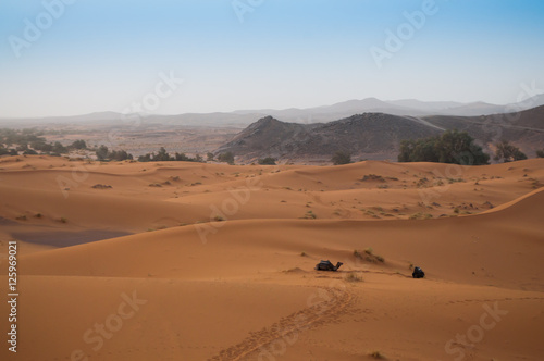 View over the Sahara Desert with camels waiting for tourists