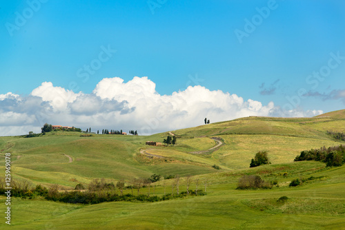 Hügelige Landschaft bei Murlo Toskana