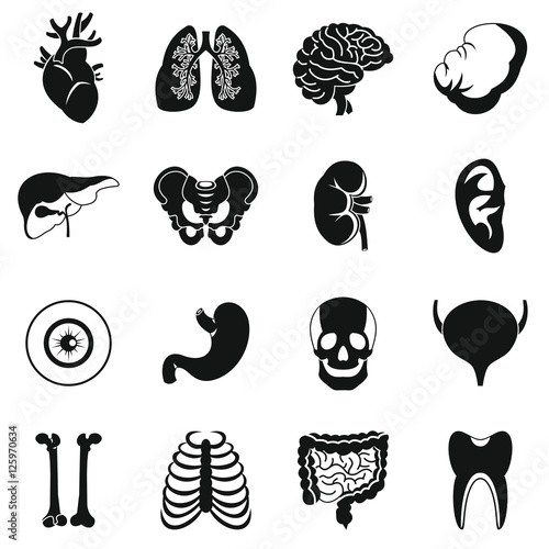 Human organs icons set. Simple illustration of 16 human organs vector icons for web