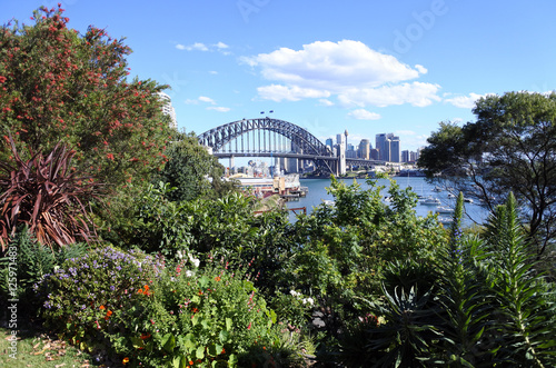 Plants and flowers blooms in spring time against Sydney Skyline © Rafael Ben-Ari