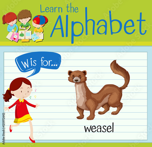 Flashcard alphabet W is for weasel