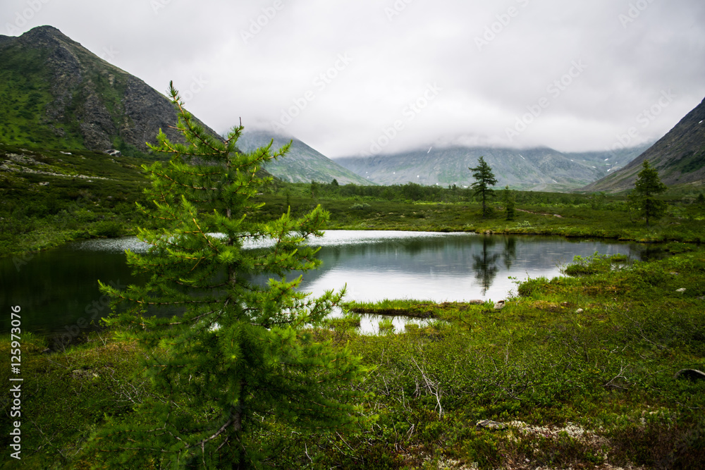 mountain lake and spruce in front of Ural mountains